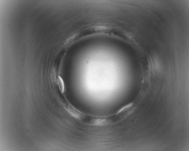 X0000082720575200701261222