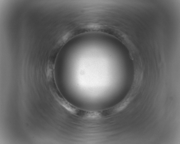 X0000082720576200701261222