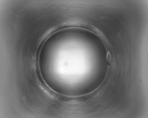 X0000082720578200701261221