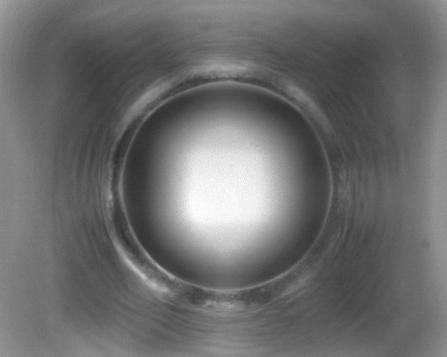 X0000082720582200701261221