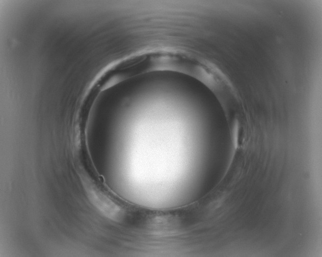 X0000082720584200701261221