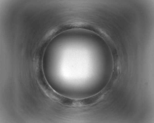 X0000082720591200701261221