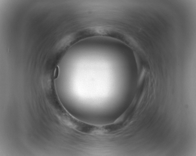 X0000082720595200701261221