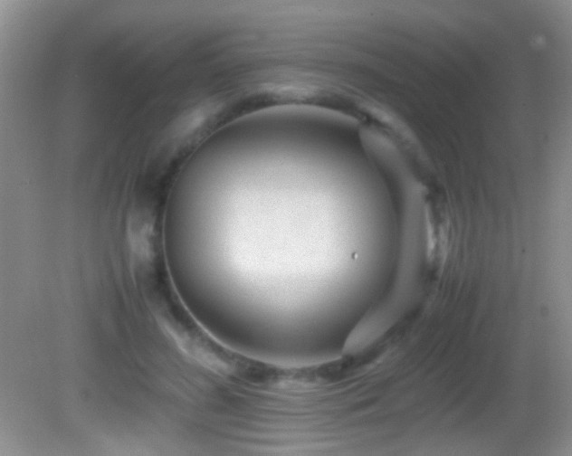 X0000082720596200701261221
