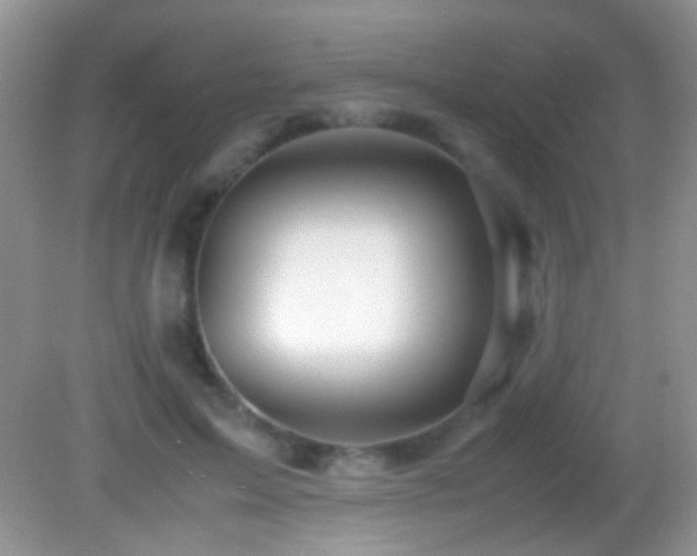 X0000082720599200701261221