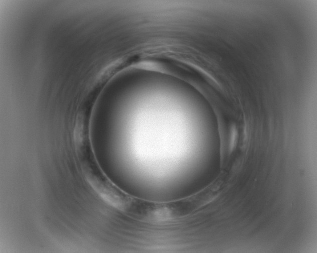 X0000082720600200701261221