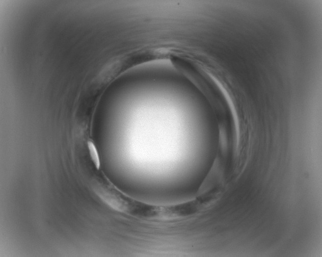 X0000082720601200701261221