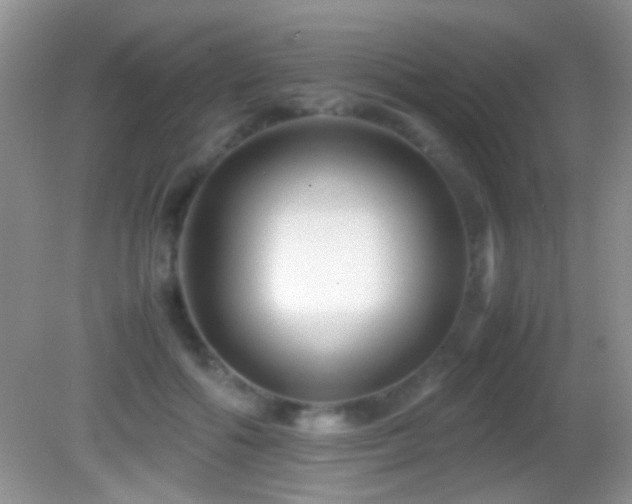 X0000082720602200701261221
