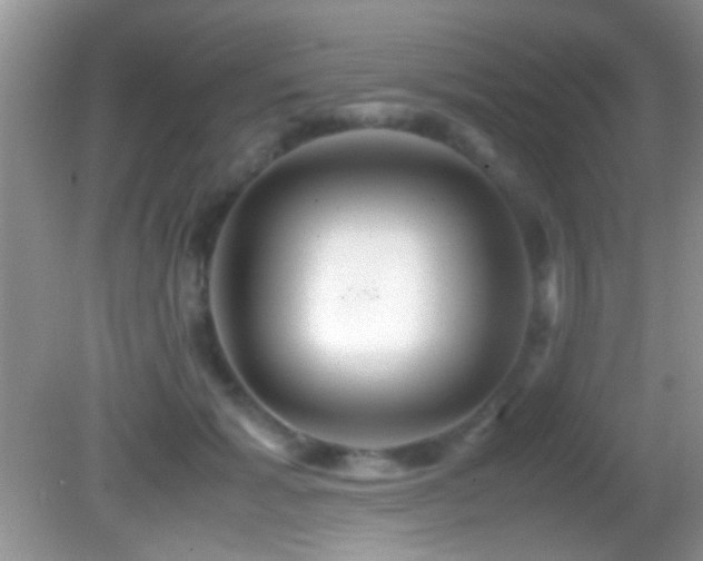 X0000082720605200701261221