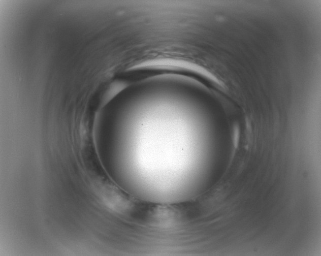 X0000082720608200701261221