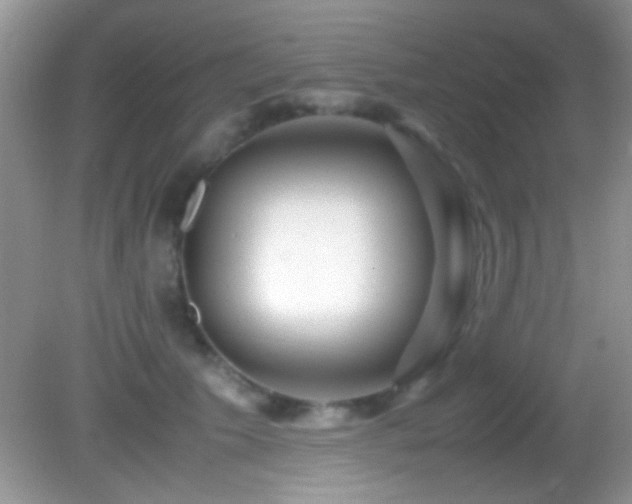 X0000082720609200701261221