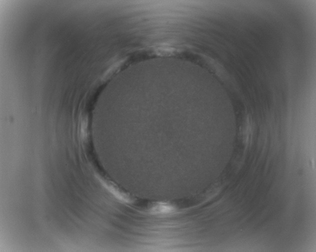 X0000082720610200701261221