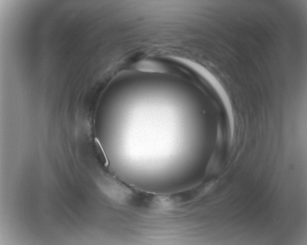 X0000082720613200701261221