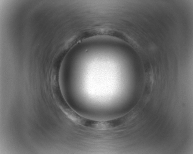 X0000082720615200701261221