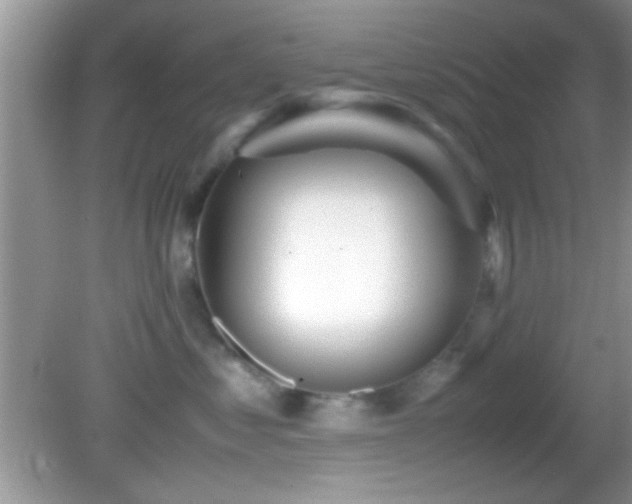 X0000082720621200701261221