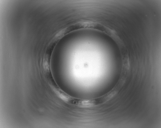X0000082720622200701261221