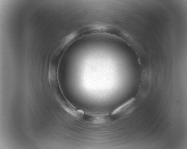 X0000082720623200701261221