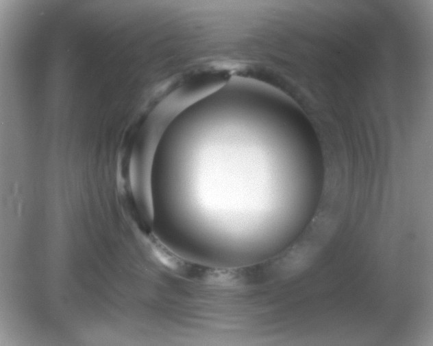 X0000082720624200701261220