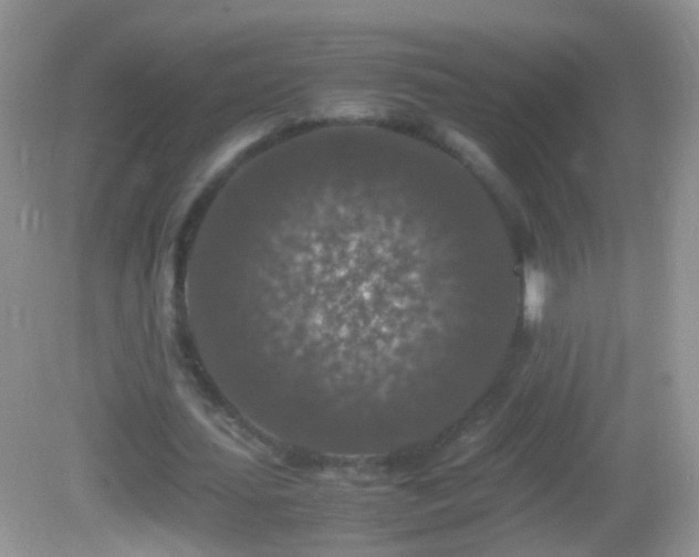 X0000082720627200701261220