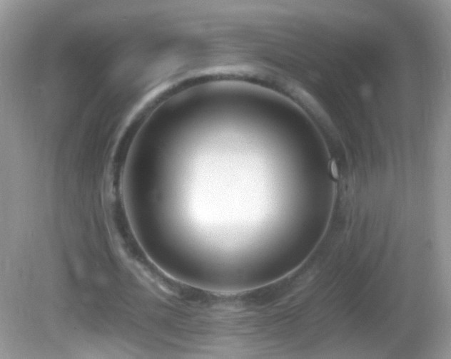 X0000082720628200701261220