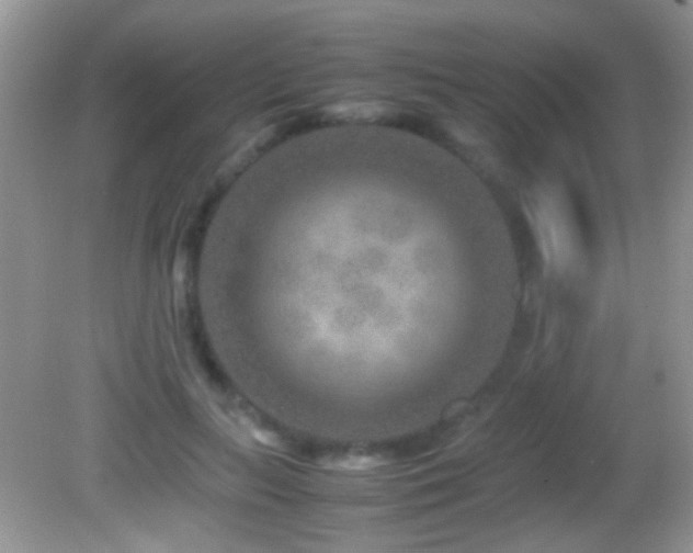 X0000082720647200701261220
