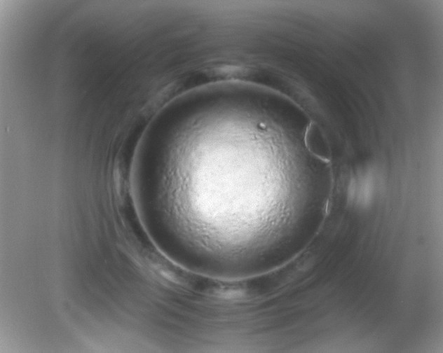 X0000082720651200701261220