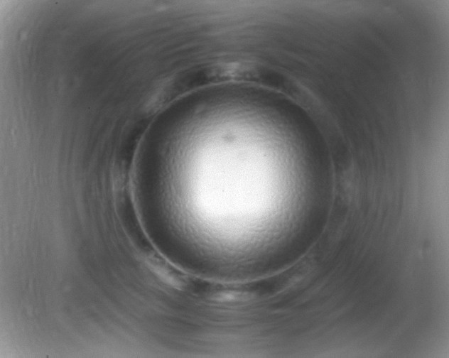 X0000082720657200701261220