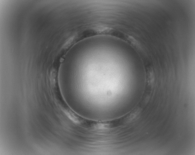 X0000082720664200701261220