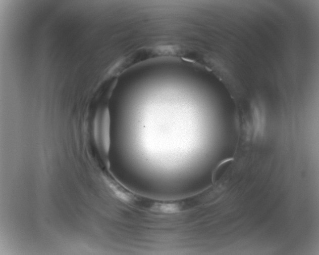 X0000082720665200701261220