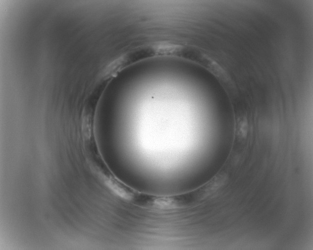 X0000082720666200701261220