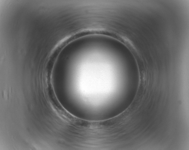 X0000082720684200701261219