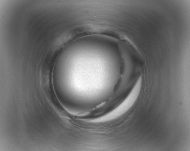 X0000082720685200701261219
