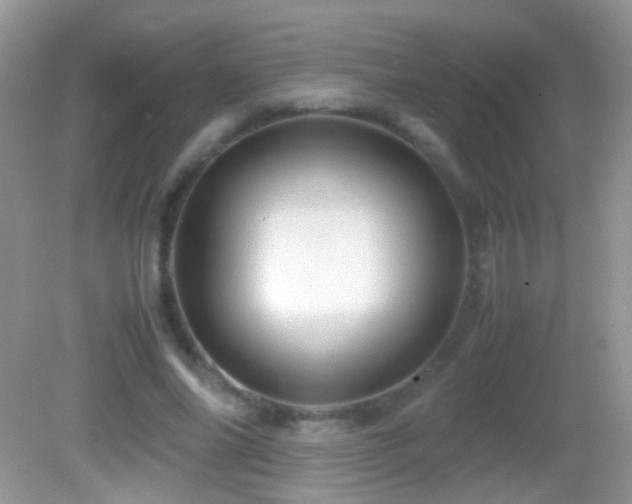 X0000082720686200701261219