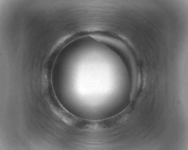 X0000082720688200701261219