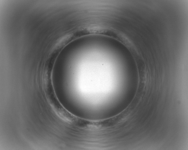 X0000082720690200701261219