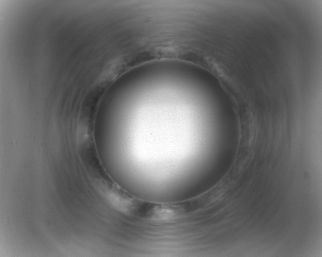 X0000082720706200701261219