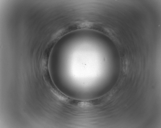 X0000082720714200701261219