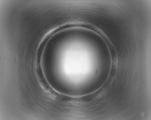 X0000082720724200701261218
