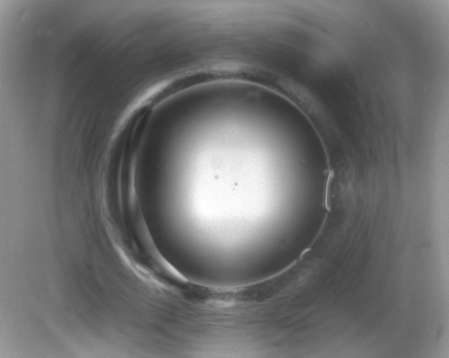 X0000082720728200701261218