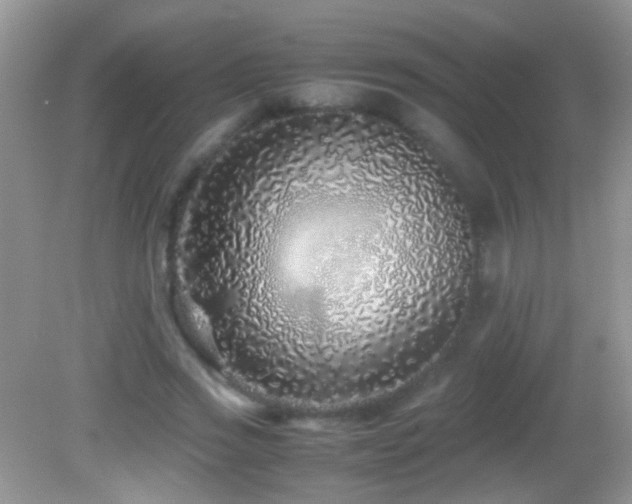 X0000082720733200701261218