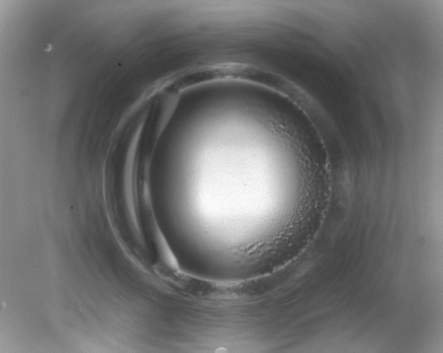 X0000082720734200701261218