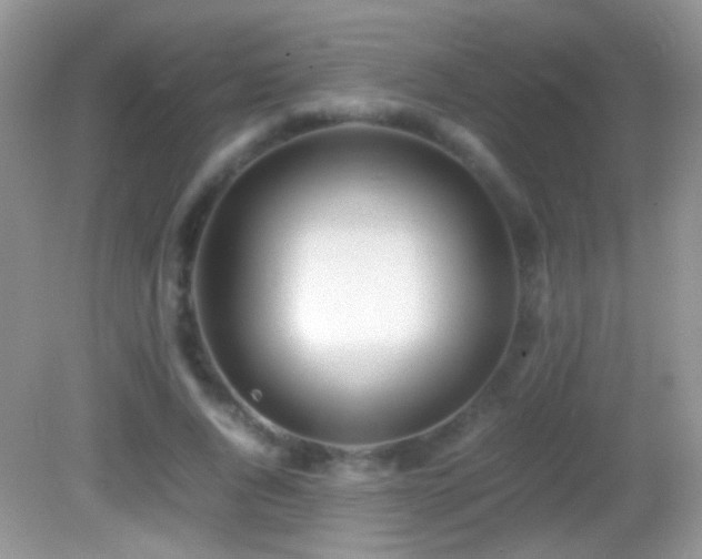 X0000082720736200701261218
