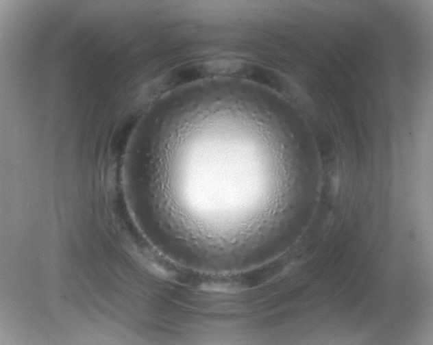 X0000082720745200701261218