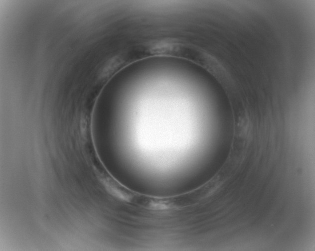 X0000082720753200701261219