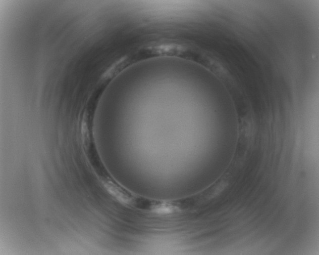 X0000082720754200701261219