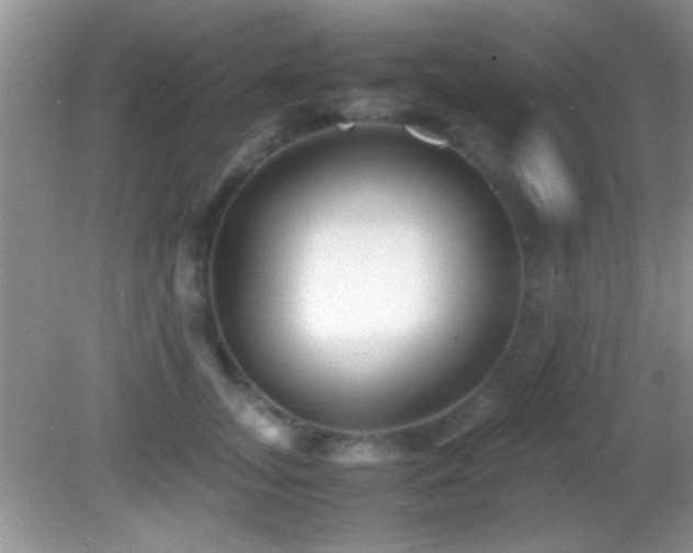 X0000082720755200701261219