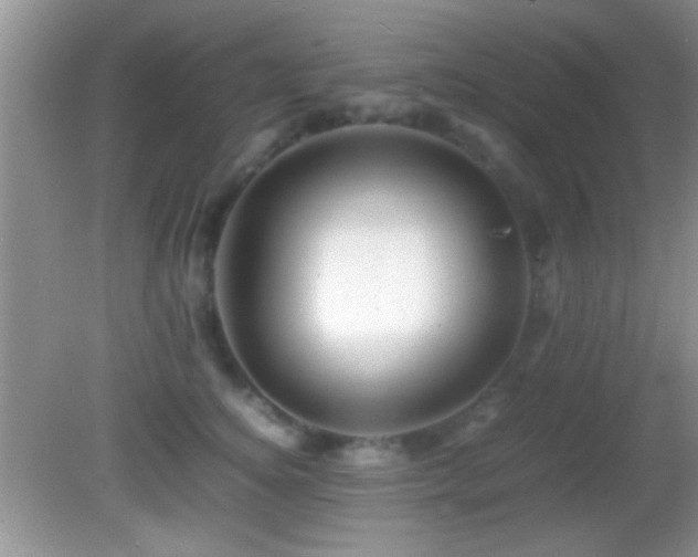 X0000082720756200701261219
