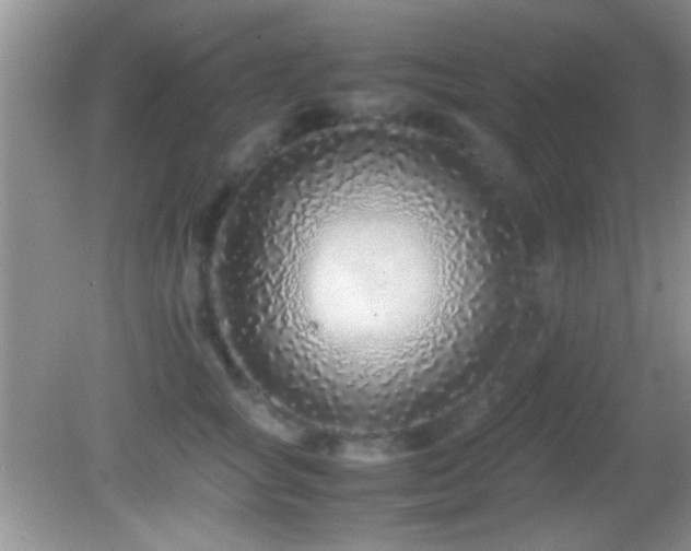 X0000082720757200701261219