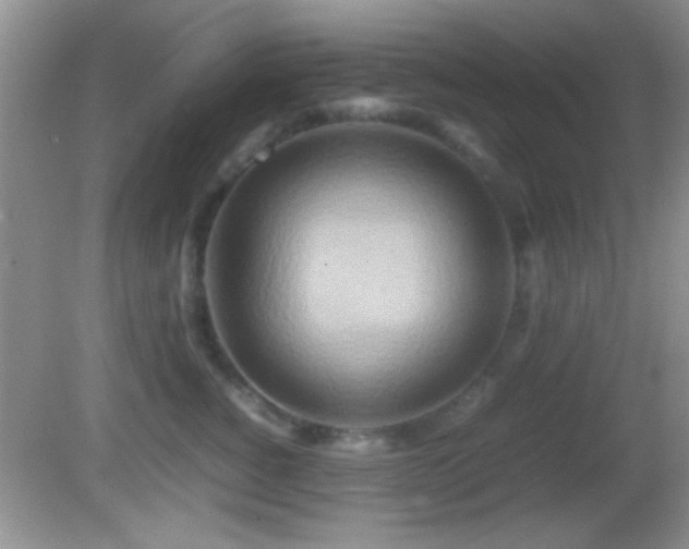 X0000082720760200701261219