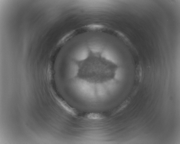 X0000082720762200701261219